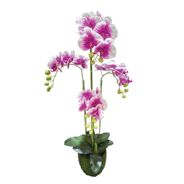 ΦΥΤΟ ΟΡΧΙΔΕΑ ΔΙΧΡΩΜΗ ΜΩΒ/ΛΕΥΚΑ ΑΝΘΗ REAL TOUCH - Υ98cm 2/ΚΙΒ – Δίνει premium χαρακτήρα στο περιβάλλον | iroots.gr