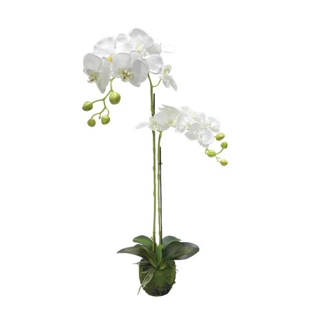 ΦΥΤΟ ΟΡΧΙΔΕΑ ΛΕΥΚΑ ΑΝΘΗ REAL TOUCH - Υ68cm 4/24ΚΙΒ – Αναβαθμίζει άμεσα τον χώρο σου | iroots.gr