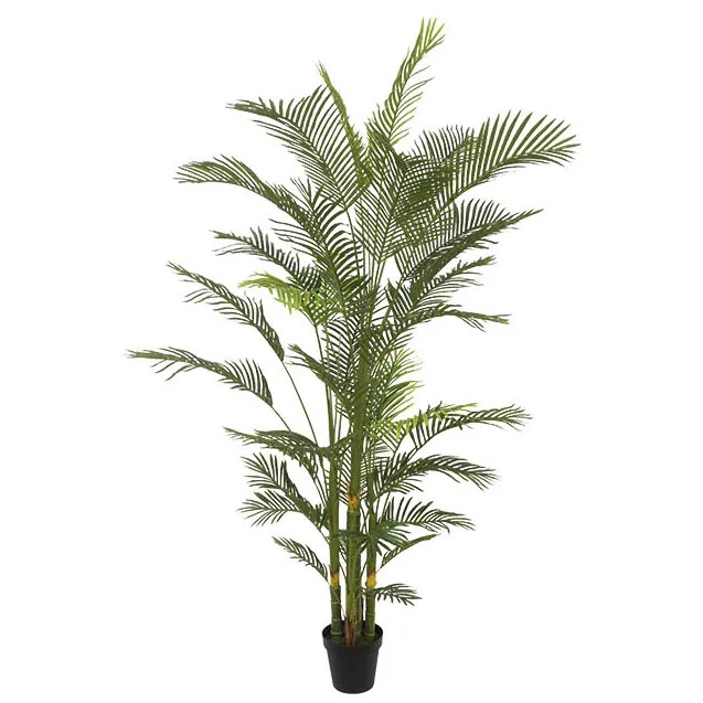 ΔΕΝΤΡΟ ΚΕΝΤΙΑ ΚΟΡΜΟ REAL TOUCH ΣΕ ΓΛΑΣΤΡΑ Y240cm 2/ΚΙΒ – Ταιριάζει σε κάθε μοντέρνο ή επαγγελματικό χώρο | iroots.gr