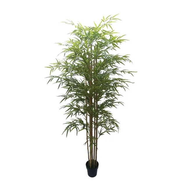 ΔΕΝΤΡΟ ΜΠΑΜΠΟΥ REAL TOUCH ΣΕ ΓΛΑΣΤΡΑ Y180cm 2/ΚΙΒ – Δημιουργεί αίσθηση πολυτέλειας χωρίς κόπο | iroots.gr