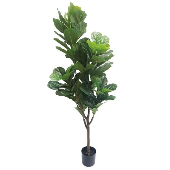 ΔΕΝΤΡΟ ΦΟΙΚΟΣ ΛΥΡΑΤΑ REAL TOUCH ΣΕ ΓΛΑΣΤΡΑ - Υ174cm 4/ΚΙΒ – Δημιουργεί αίσθηση πολυτέλειας χωρίς κόπο | iroots.gr