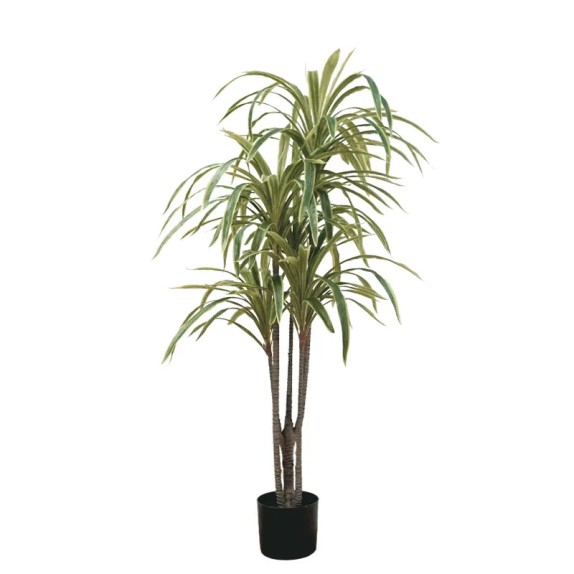 ΔΕΝΤΡΟ ΔΡΑΚΑΙΝΑ ΜΑΡΤΖΙΝΑΤΑ ΠΡΑΣΙΝΟ ΔΙΧΡΩΜΟ REAL TOUCH - Υ150cm 4/KΙΒ – Δίνει premium χαρακτήρα στο περιβάλλον | iroots.gr
