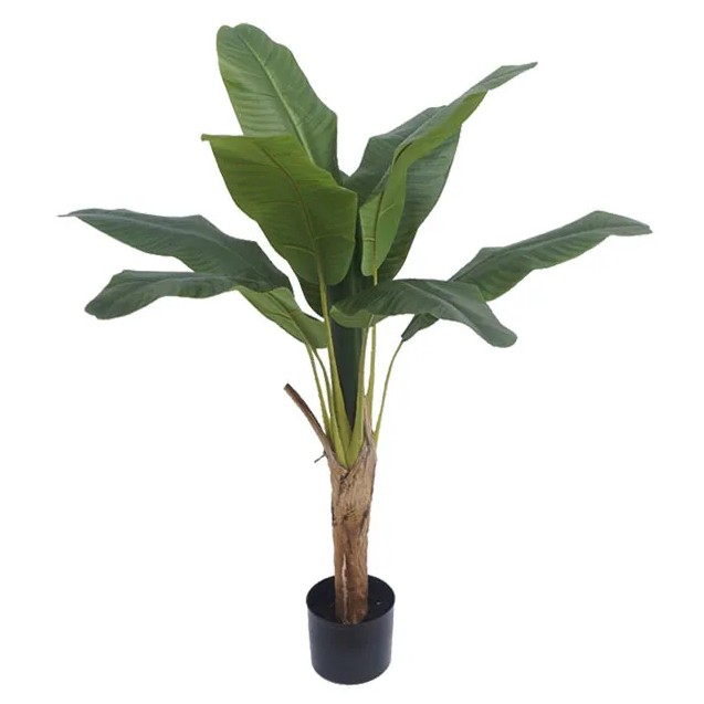 ΔΕΝΤΡΟ ΜΠΑΝΑΝΙΑ ΜΟΝΗ REAL TOUCH ΣΕ ΓΛΑΣΤΡΑ - Υ125cm 4/ΚΙΒ – Δίνει premium χαρακτήρα στο περιβάλλον | iroots.gr