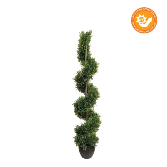 ΔΕΝΤΡΟ ΤΟΥΓΙΑ ΣΠΙΡΑΛ ΜΕ ΠΡΟΣΤΑΣΙΑ UV - Υ120cm 2/ΚΙΒ – Αναβαθμίζει άμεσα τον χώρο σου | iroots.gr