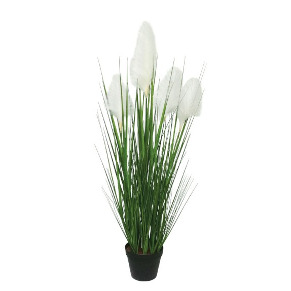 ΦΥΤΟ ΠΑΜΠΑΣ ΓΚΡΑΣΣ ΕΚΡΟΥ X5 ΣΕ ΚΑΣΠΩ - Υ100cm 2/12ΚΙΒ – Ταιριάζει σε κάθε μοντέρνο ή επαγγελματικό χώρο | iroots.gr