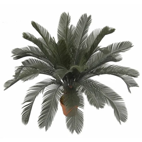 ΔΕΝΤΡΟ ΚΥΚΑΣ ΣΕ ΓΛΑΣΤΡΑ - Y110cm 4/KIB – Δημιουργεί αίσθηση πολυτέλειας χωρίς κόπο | iroots.gr