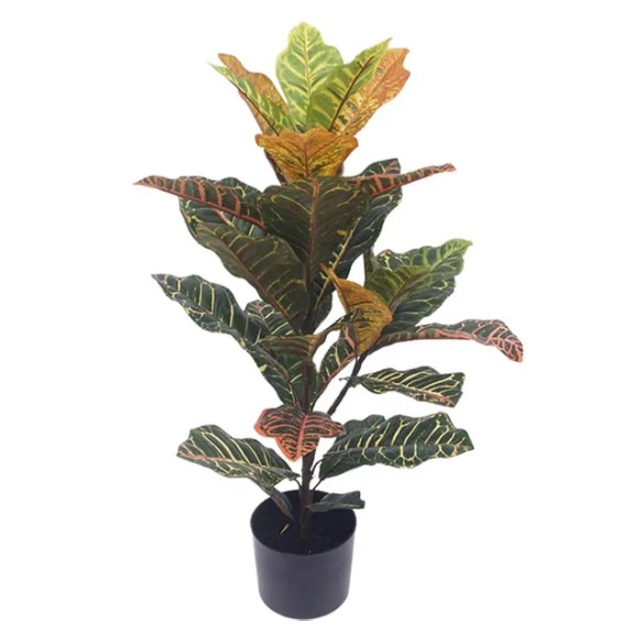 ΔΕΝΤΡΟ ΚΡΟΤΟΝ REAL TOUCH ΣΕ ΓΛΑΣΤΡΑ - Y75cm 6/ΚΙΒ – Δημιουργεί αίσθηση πολυτέλειας χωρίς κόπο | iroots.gr