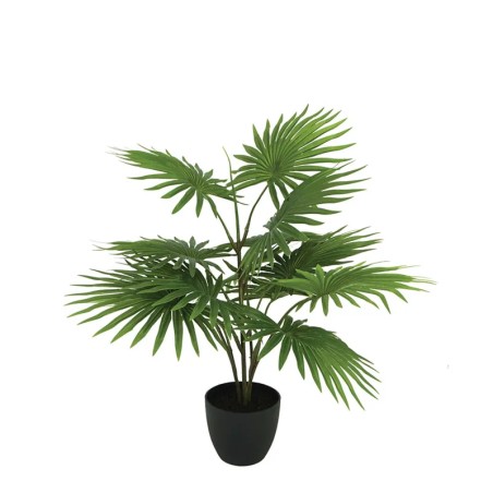 ΔΕΝΤΡΟ ΠΙΤΣΑΡΔΙΑ REAL TOUCH ΣΕ ΓΛΑΣΤΡΑ - Υ70cm 1/6KΙΒ – Ταιριάζει σε κάθε μοντέρνο ή επαγγελματικό χώρο | iroots.gr