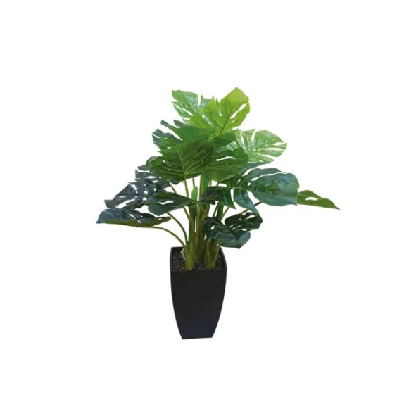 ΔΕΝΤΡΟ ΣΧΙΣΤΟΦΥΛΛΟ REAL TOUCH ΣΕ ΚΑΣΠΩ - Υ65cm 8/ΚΙΒ – Δίνει premium χαρακτήρα στο περιβάλλον | iroots.gr