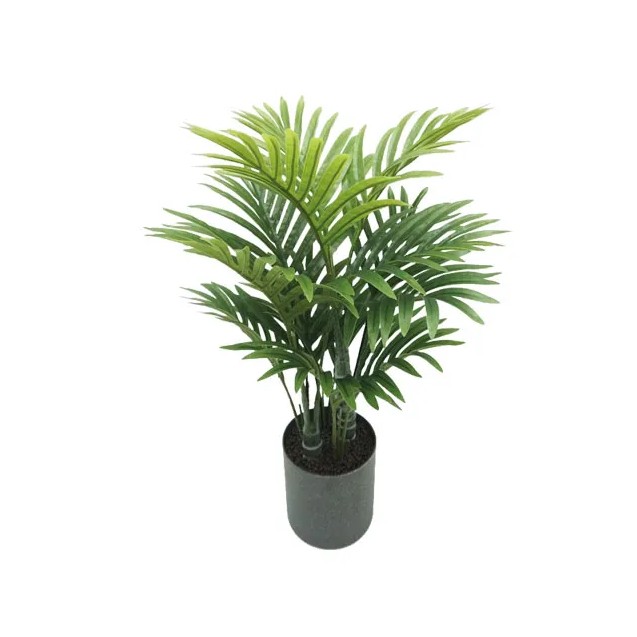 ΔΕΝΤΡΟ ΚΕΝΤΙΑ ΣΕ ΚΑΣΠΩ - Y55cm 1/12KIB – Αναβαθμίζει άμεσα τον χώρο σου | iroots.gr