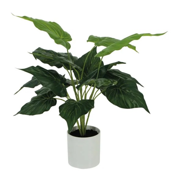 ΦΥΤΟ ΠΟΘΟΣ ΠΡΑΣΙΝΟΣ REAL TOUCH ΣΕ ΚΑΣΠΩ - Υ40cm 12/ΚΙΒ – Προσφέρει μοναδική αισθητική | iroots.gr