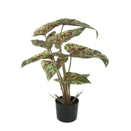 ΔΕΝΤΡΟ ΑΛΟΚΑΣΙΑ ΠΡΑΣΙΝΟ/ΛΑΧΑΝΙ/ΚΟΚΚΙΝΟ REAL TOUCH ΣΕ ΚΑΣΠΩ - Υ58cm 6/KIB – Ταιριάζει σε κάθε μοντέρνο ή επαγγελματικό χώρο | iro