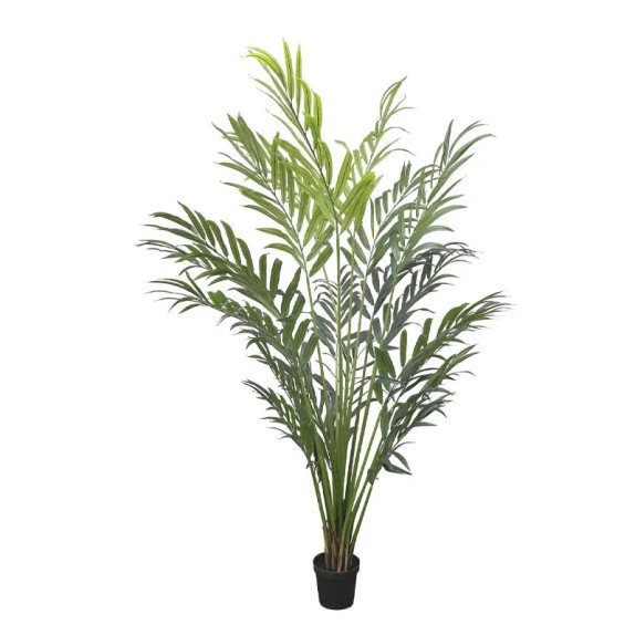 ΔΕΝΤΡΟ REAL TOUCH ΦΟΙΝΙΚΑΣ ΣΕ ΚΑΣΠΩ - Y250cm 1/KIB – Αναβαθμίζει άμεσα τον χώρο σου | iroots.gr