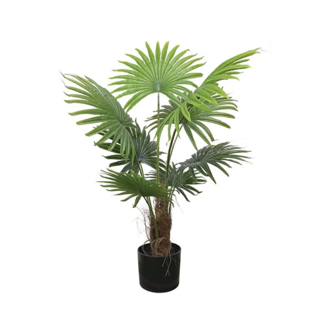 ΔΕΝΤΡΟ ΠΙΤΣΑΡΔΙΑ ΦΟΙΝΙΚΑΣ REAL TOUCH ΣΕ ΓΛΑΣΤΡΑ - Υ80cm 6/KIB – Αναβαθμίζει άμεσα τον χώρο σου | iroots.gr