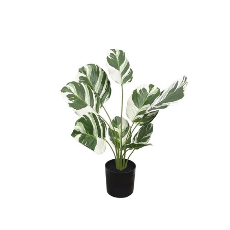 ΔΕΝΤΡΟ REAL TOUCH ΔΙΧΡΩΜΟ ΦΙΛΟΔΕΝΤΡΟ ΣΕ ΚΑΣΠΩ - Υ48cm 6/KIB – Προσφέρει μοναδική αισθητική | iroots.gr