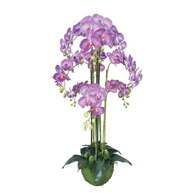 ΦΥΤΟ ΟΡΧΙΔΕΑ ΜΩΒ ΜΕ ΛΕΥΚΕΣ ΡΙΓΕΣ ΑΝΘΗ REAL TOUCH - Y118cm 1/KIB – Ταιριάζει σε κάθε μοντέρνο ή επαγγελματικό χώρο | iroots.gr