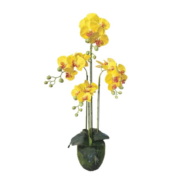 ΦΥΤΟ ΟΡΧΙΔΕΑ ΚΙΤΡΙΝA ΑΝΘΗ REAL TOUCH - Y98cm 2/KIB – Δημιουργεί αίσθηση πολυτέλειας χωρίς κόπο | iroots.gr