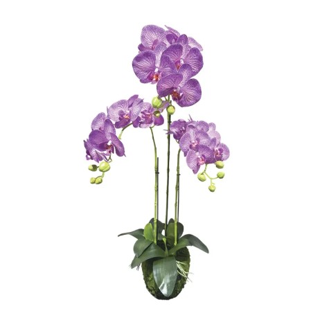 ΦΥΤΟ ΟΡΧΙΔΕΑ ΜΩΒ ΜΕ ΛΕΥΚΕΣ ΡΙΓΕΣ ΑΝΘΗ REAL TOUCH - Y82cm 2/KIB – Δίνει premium χαρακτήρα στο περιβάλλον | iroots.gr