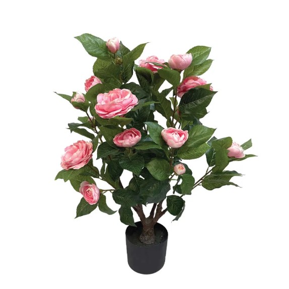 ΔΕΝΤΡΟ ΚΑΜΕΛΙΑ ΡΟΖ ΣΕ ΓΛΑΣΤΡΑ - Y75cm 4/KIB – Δημιουργεί αίσθηση πολυτέλειας χωρίς κόπο | iroots.gr