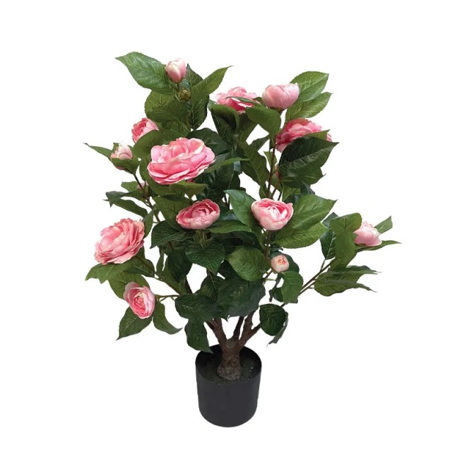 ΔΕΝΤΡΟ ΚΑΜΕΛΙΑ ΡΟΖ ΣΕ ΓΛΑΣΤΡΑ - Y75cm 4/KIB – Δημιουργεί αίσθηση πολυτέλειας χωρίς κόπο | iroots.gr