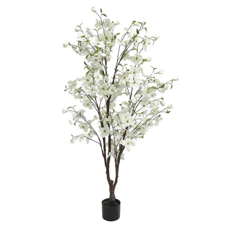 ΔΕΝΤΡΟ ΚΡΑΝΙΑ ΛΕΥΚΟ ΣΕ ΓΛΑΣΤΡΑ - Y165cm 2/KIB – Δημιουργεί αίσθηση πολυτέλειας χωρίς κόπο | iroots.gr