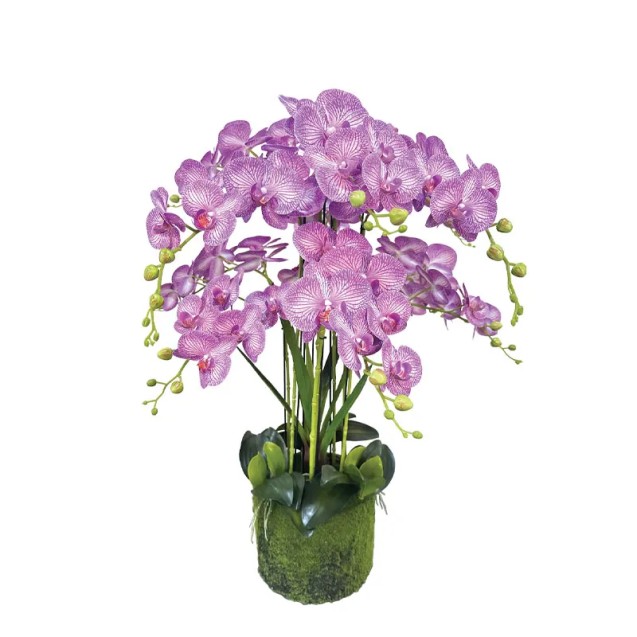 ΦΥΤΟ ΟΡΧΙΔΕΑ ΜΩΒ ΜΕ ΛΕΥΚΕΣ ΡΙΓΕΣ ΑΝΘΗ REAL TOUCH - Y80cm 1/KIB – Ταιριάζει σε κάθε μοντέρνο ή επαγγελματικό χώρο | iroots.gr