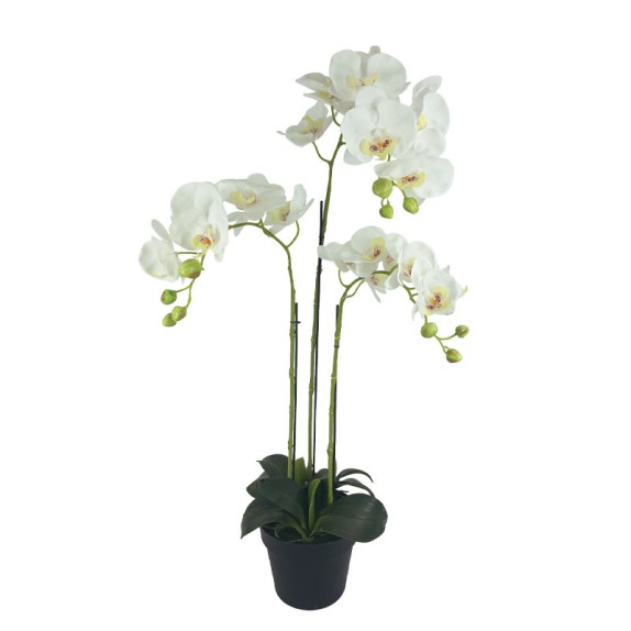 ΦΥΤΟ ΟΡΧΙΔΕΑ ΛΕΥΚΑ ΑΝΘΗ REAL TOUCH ΣΕ ΚΑΣΠΩ - Υ82cm 2/8ΚΙΒ – Ταιριάζει σε κάθε μοντέρνο ή επαγγελματικό χώρο | iroots.gr