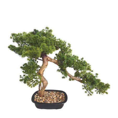 ΔΕΝΤΡΟ ΜΠΟΝΣΑΪ ΠΕΥΚΟ ΜΙΚΡΟ ΠΡΑΣΙΝΟ ΣΕ ΚΑΣΠΩ - 65x38x57cm 2/KIB – Ταιριάζει σε κάθε μοντέρνο ή επαγγελματικό χώρο | iroots.gr