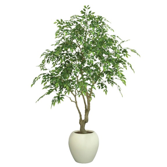 ΤΕΧΝΗΤΟ ΔΕΝΤΡΟ REAL TOUCH ΜΠΕΝΖΑΜΙΝ (ΦΙΚΟΣ) ΣΕ ΠΛΑΣΤΙΚΟ ΛΕΥΚΟ ΚΑΣΠΩ - Y210cm 1/ΚΙΒ – Δίνει premium χαρακτήρα στο περιβάλλον | ir