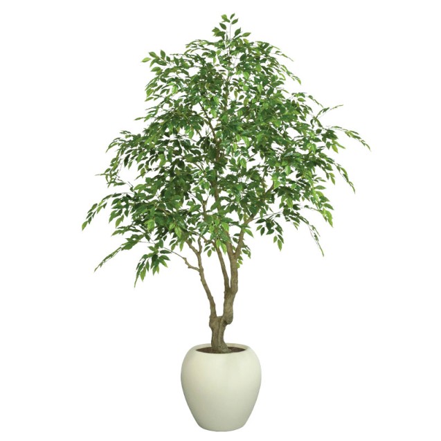 ΤΕΧΝΗΤΟ ΔΕΝΤΡΟ REAL TOUCH ΜΠΕΝΖΑΜΙΝ (ΦΙΚΟΣ) ΣΕ ΠΛΑΣΤΙΚΟ ΛΕΥΚΟ ΚΑΣΠΩ - Y210cm 1/ΚΙΒ – Δίνει premium χαρακτήρα στο περιβάλλον | ir