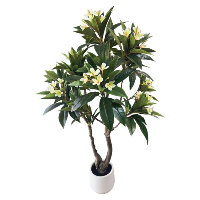 ΔΕΝΤΡΟ ΜΑΝΩΛΙΑ ΜΕ ΑΝΘΑΚΙΑ REAL TOUCH ΣΕ ΓΛΑΣΤΡΑ - 190cm 1/ΚΙΒ – Προσφέρει μοναδική αισθητική | iroots.gr