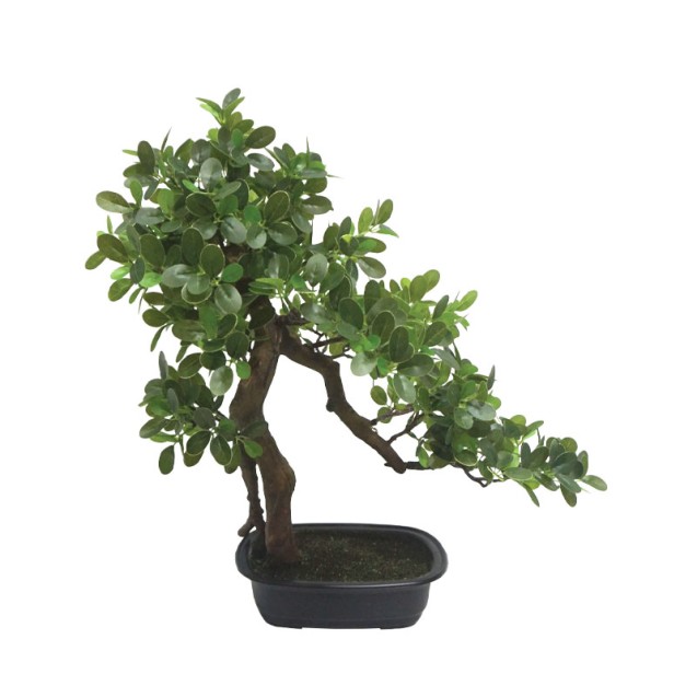 ΔΕΝΤΡΟ ΜΠΟΝΣΑΪ REAL TOUCH ΣΕ ΠΛΑΣΤΙΚΗ ΓΛΑΣΤΡΑ ΠΡΑΣΙΝΟ - 28x45x50cm 2/ΚΙΒ – Ταιριάζει σε κάθε μοντέρνο ή επαγγελματικό χώρο | iro