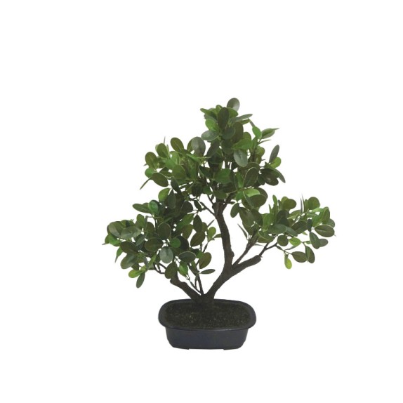 ΔΕΝΤΡΟ ΜΠΟΝΣΑΪ ΣΕ ΠΛΑΣΤΙΚΗ ΓΛΑΣΤΡΑ ΠΡΑΣΙΝΟ - 21x37x39cm 4/ΚΙΒ – Ταιριάζει σε κάθε μοντέρνο ή επαγγελματικό χώρο | iroots.gr