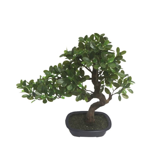 ΔΕΝΤΡΟ ΜΠΟΝΣΑΪ ΣΕ ΠΛΑΣΤΙΚΗ ΓΛΑΣΤΡΑ ΠΡΑΣΙΝΟ - 27x52x46cm 4/ΚΙΒ – Αναβαθμίζει άμεσα τον χώρο σου | iroots.gr