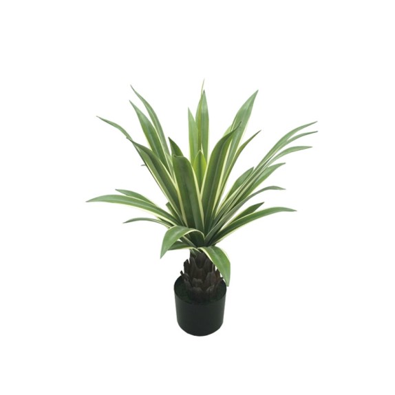 ΔΕΝΤΡΟ ΑΓΑΥΗ ΠΡΑΣΙΝΟ ΣΕ ΓΛΑΣΤΡΑ - 66cm 4/ΚΙΒ – Ταιριάζει σε κάθε μοντέρνο ή επαγγελματικό χώρο | iroots.gr