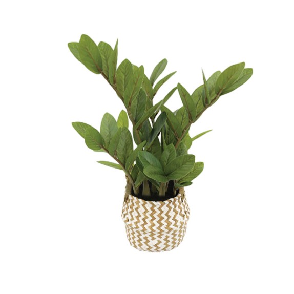 ΖΑΜΙΑ REAL TOUCH ΣΕ ΚΑΣΠΩ ΨΑΘΑ ΠΡΑΣΙΝΟ - Φ25x45cm 6/ΚΙΒ – Δίνει premium χαρακτήρα στο περιβάλλον | iroots.gr