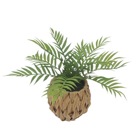 ΦΤΕΡΗ ΣΕ ΠΛΕΚΤΟ ΠΛΑΣΤΙΚΟ ΚΑΛΑΘΙ ΚΑΦΕ-ΠΡΑΣΙΝΟ - Y30cm 6/48ΚΙΒ – Δίνει premium χαρακτήρα στο περιβάλλον | iroots.gr