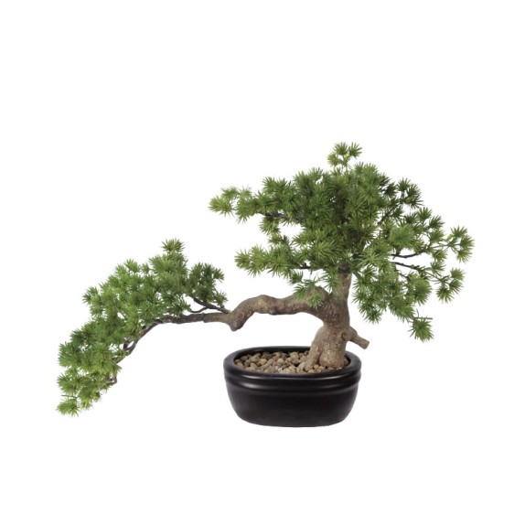 ΔΕΝΤΡΟ ΜΠΟΝΣΑΪ ΣΕ ΠΛΑΣΤΙΚΗ ΓΛΑΣΤΡΑ ΠΡΑΣΙΝΟ - 45x25x27cm 4/ΚΙΒ – Αναβαθμίζει άμεσα τον χώρο σου | iroots.gr