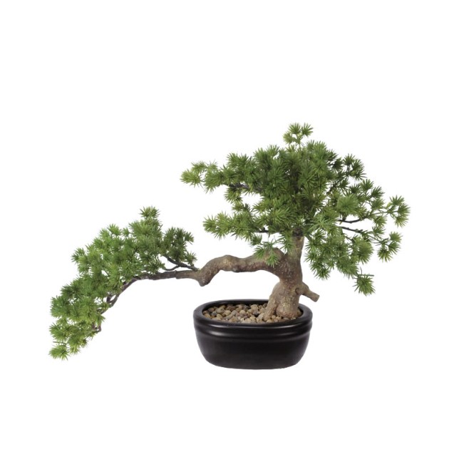 ΔΕΝΤΡΟ ΜΠΟΝΣΑΪ ΣΕ ΠΛΑΣΤΙΚΗ ΓΛΑΣΤΡΑ ΠΡΑΣΙΝΟ - 45x25x27cm 4/ΚΙΒ – Αναβαθμίζει άμεσα τον χώρο σου | iroots.gr