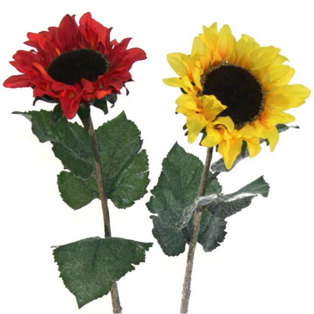 ΚΛΑΔΙ ΗΛΙΟΣ ASS (2 ΧΡΩΜΑΤΑ) Y80cm. 12/144KIB – Δίνει premium χαρακτήρα στο περιβάλλον | iroots.gr