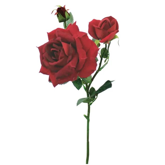 ΚΛΑΔΙ ΤΡΙΑΝΤΑΦΥΛΛΟ ΚΟΚΚΙΝΟ ΒΕΛΟΥΔΟ MONO Y67cm. 12/144KIB – Ταιριάζει σε κάθε μοντέρνο ή επαγγελματικό χώρο | iroots.gr