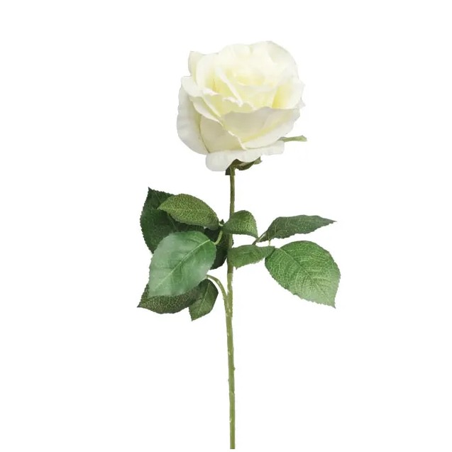 ΚΛΑΔΙ ΤΡΙΑΝΤΑΦΥΛΛΟ ΕΚΡΟΥ ΜΟΝΟ Υ65cm. 24/288ΚΙΒ – Προσφέρει μοναδική αισθητική | iroots.gr