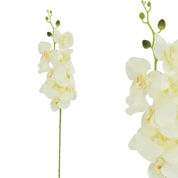 ΚΛΑΔΙ ΟΡΧΙΔΕΑ ΣΑΜΠΑΝΙ Y90cm. 12/120ΚΙΒ – Δημιουργεί αίσθηση πολυτέλειας χωρίς κόπο | iroots.gr