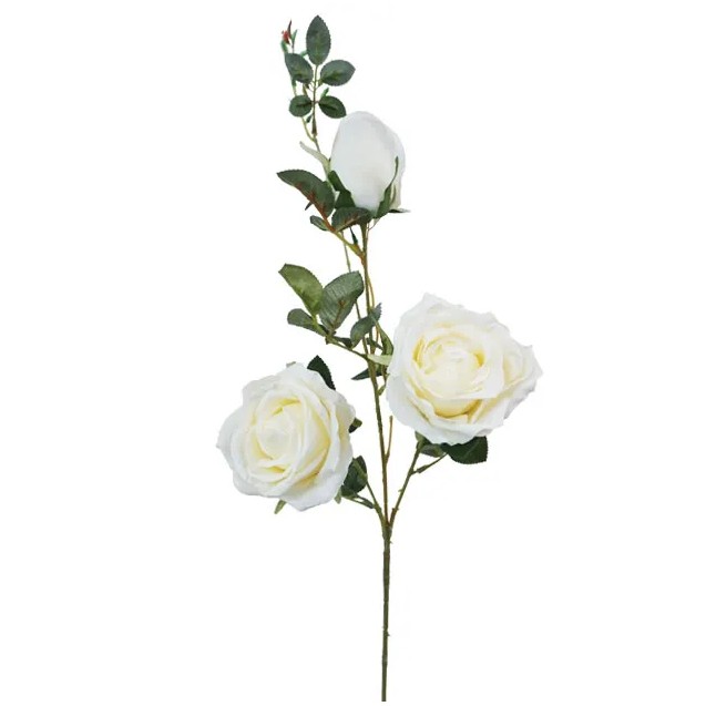 ΚΛΑΔΙ ΤΡΙΑΝΤΑΦΥΛΛΟ ΣΑΜΠΑΝΙ X2 KAI 1 ΜΠΟΥΜΠΟΥΚΙ Y96cm. 18/180KIB – Δίνει premium χαρακτήρα στο περιβάλλον | iroots.gr