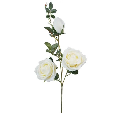 ΚΛΑΔΙ ΤΡΙΑΝΤΑΦΥΛΛΟ ΣΑΜΠΑΝΙ X2 KAI 1 ΜΠΟΥΜΠΟΥΚΙ Y96cm. 18/180KIB – Δίνει premium χαρακτήρα στο περιβάλλον | iroots.gr