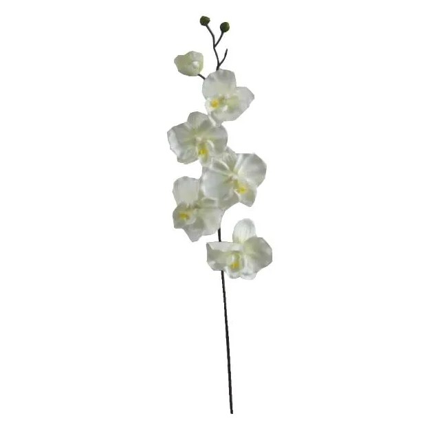 ΚΛΑΔΙ ΟΡΧΙΔΕΑ ΣΑΜΠΑΝΙ Y72cm. 36/432ΚΙΒ
