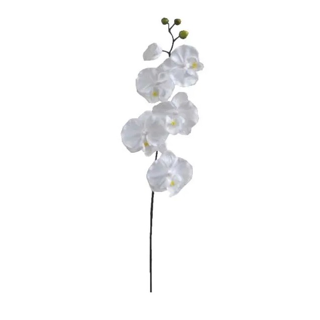 ΚΛΑΔΙ ΟΡΧΙΔΕΑ ΛΕΥΚΟ Y72cm. 36/432ΚΙΒ