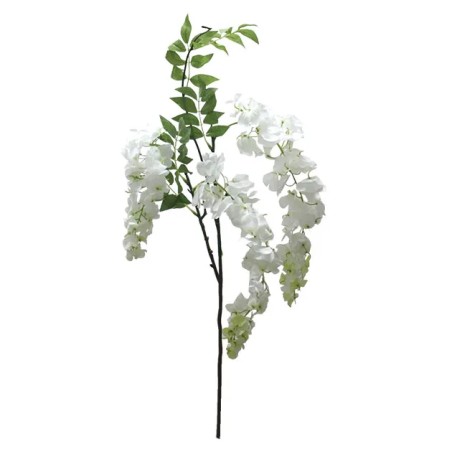 ΚΛΑΔΙ ΑΚΑΚΙΑ ΣΑΜΠΑΝΙ X3 Y75-98cm. 12/144KIB – Προσφέρει μοναδική αισθητική | iroots.gr