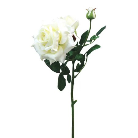 ΚΛΑΔΙ ΤΡΙΑΝΤΑΦΥΛΛΟ ΛΕΥΚΟ ΒΕΛΟΥΔΟ MONO Y67cm. 12/144KIB – Ταιριάζει σε κάθε μοντέρνο ή επαγγελματικό χώρο | iroots.gr