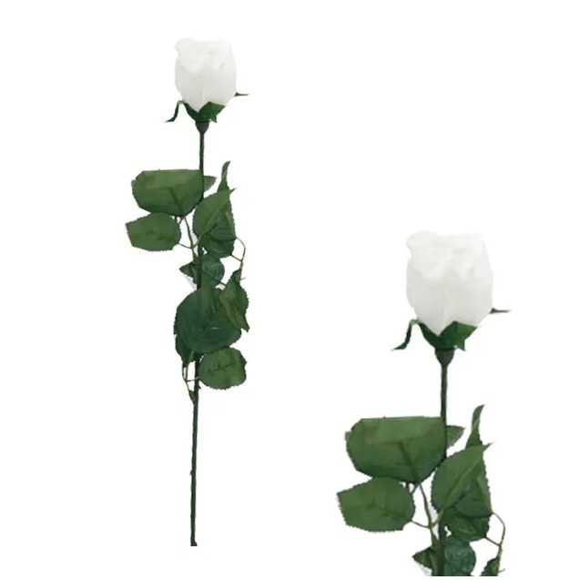 ΚΛΑΔΙ ΜΠΑΚΑΡΑΣ ΛΕΥΚΟ MONO Υ64cm. 48/576KIB
